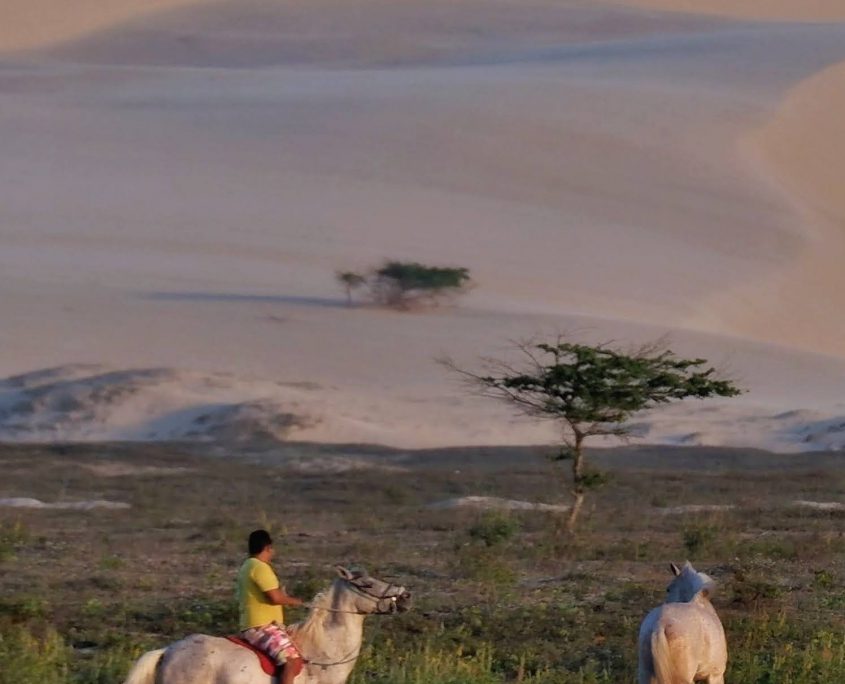 Homem montado ao cavalo em Jericoacoara, próximo as dunas do pôr do sol